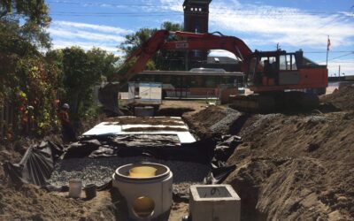 Habitat for Humanity